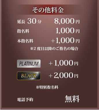 延長30分 8000円